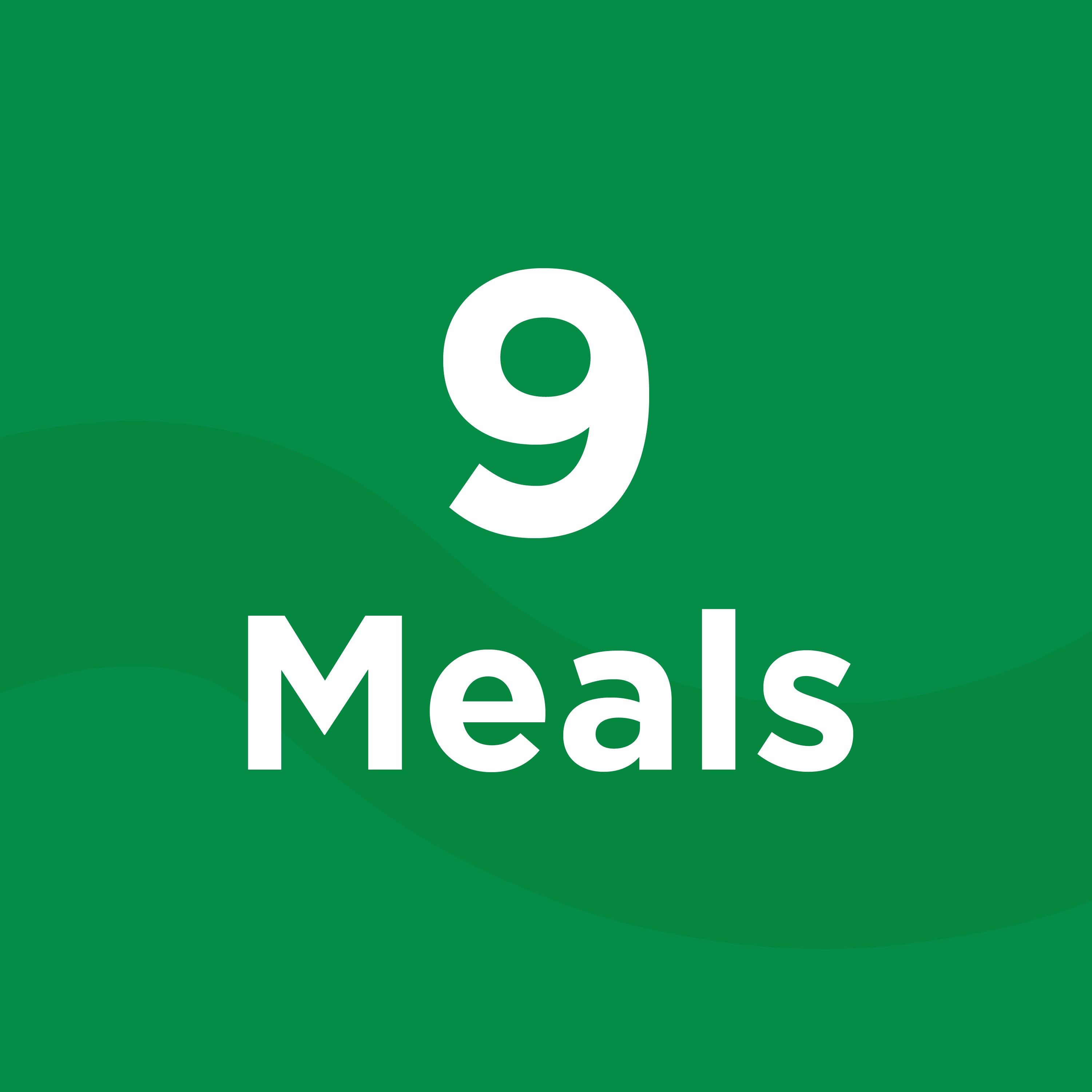 9 Meal Athlete Box
